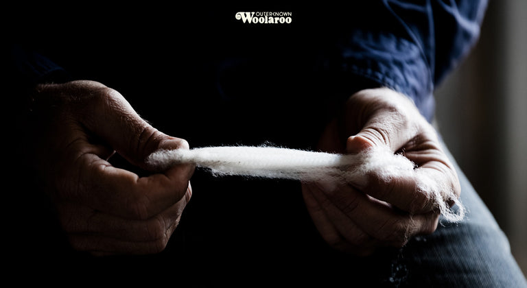The Woolaroo