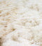 Close-up of fluffy white cotton